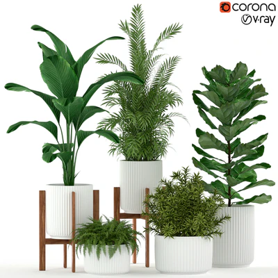 Plants collection 194 — Вид 1