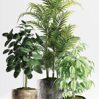PLANTS 159 — Ver 2