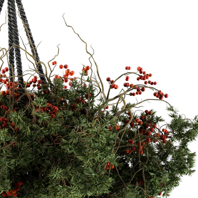Hanging Pot plant - Set 102 — Ver 3