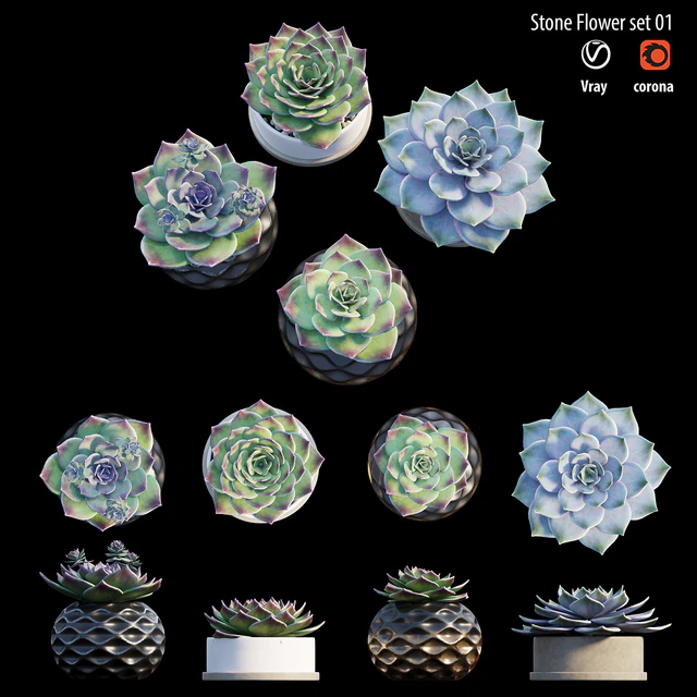 Stone flower set 01 — Скачать