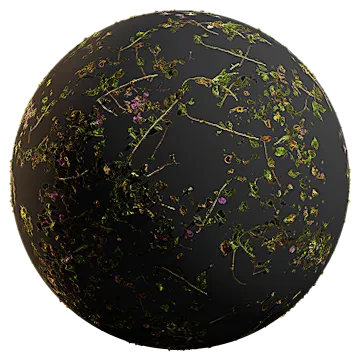 garden vine 001 — Descargar