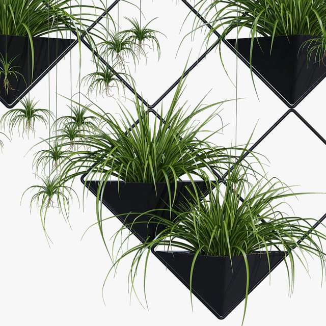 Ikebana one — Скачать