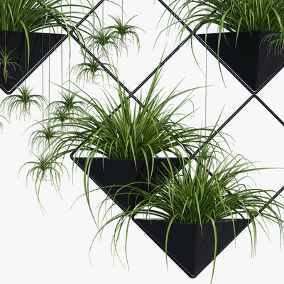 Ikebana one — Вид 4