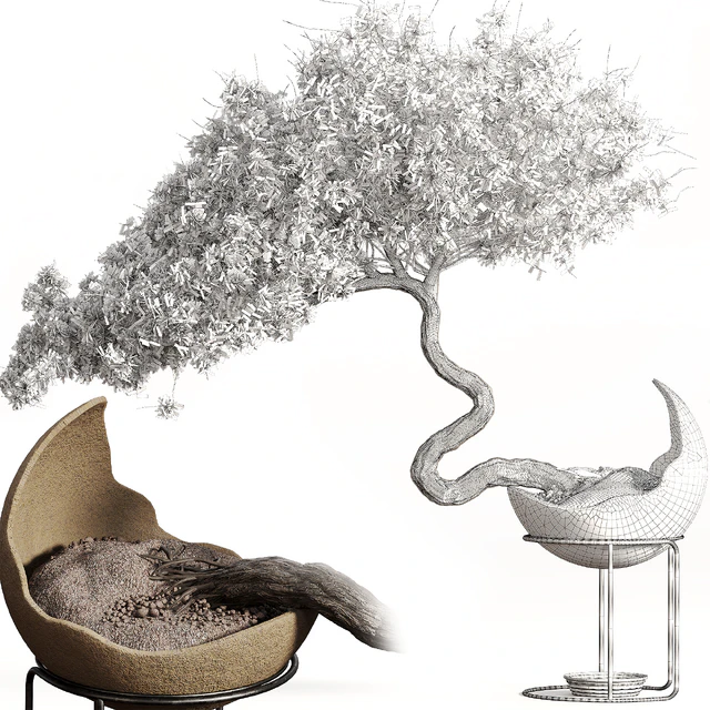 houseplants-indoor-Bonsai-039 — Скачать
