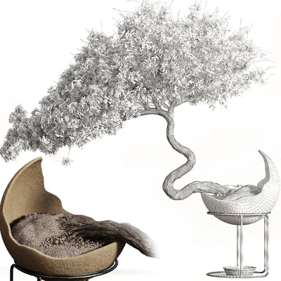 houseplants-indoor-Bonsai-039 — Вид 2