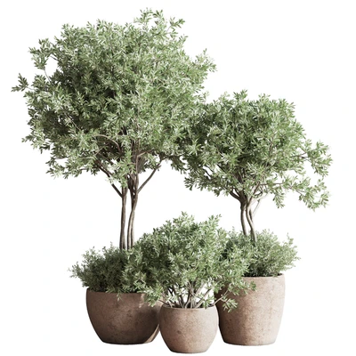 Indoor Plant Set 59 — Ver 1