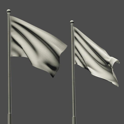 Flag — Вид 2