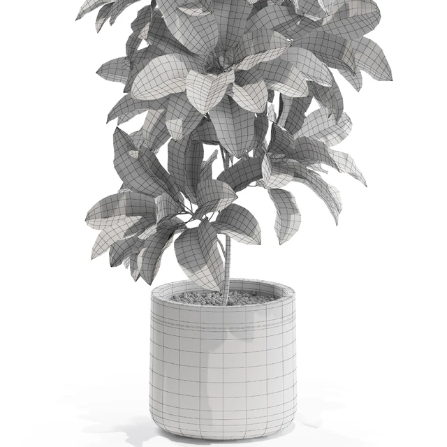 Plants collection 557 — Скачать