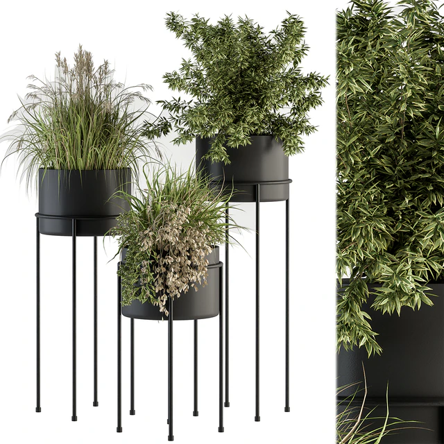 indoor Plant Set 370 - Tree and Plant Set Stand pot — Скачать