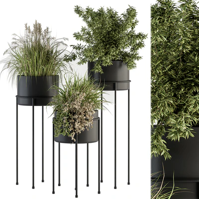 indoor Plant Set 370 - Tree and Plant Set Stand pot — Вид 1