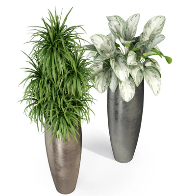 Plants collection 282 Fleurami ROYAL — Ver 2