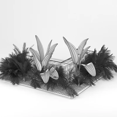 Flowerbed Palm — Вид 3