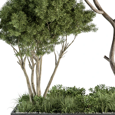 Garden Set Broadleaf Tree - Outdoor Plants Set 360 — Ver 2