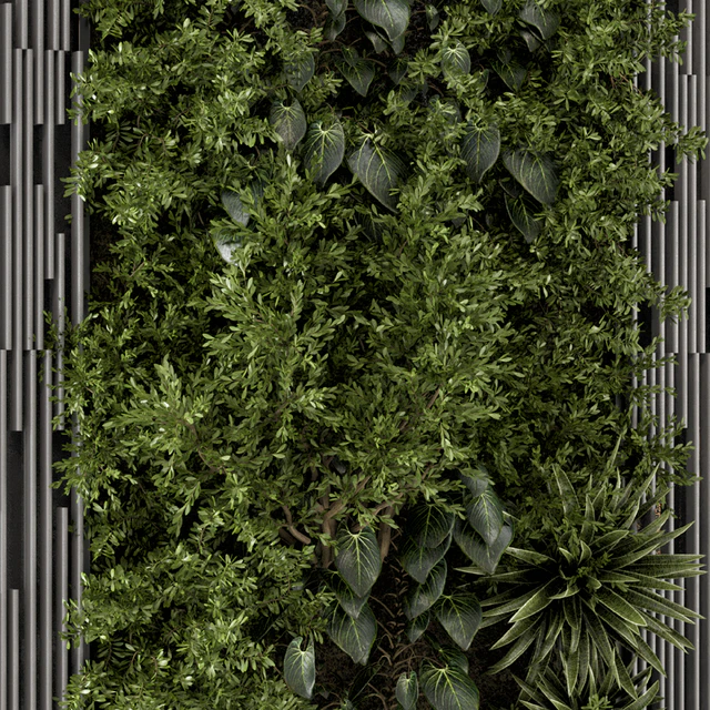 Indoor Wall  Vertical Garden in Wooden Base - Set 864 — Скачать