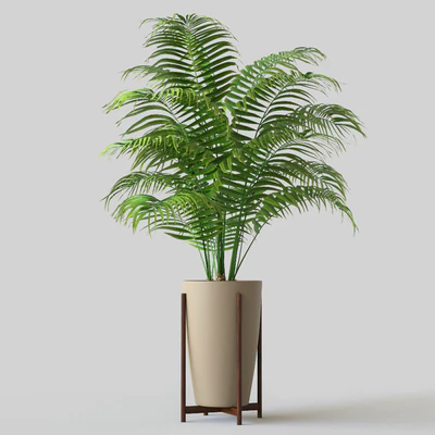 Palm in pot — Ver 2