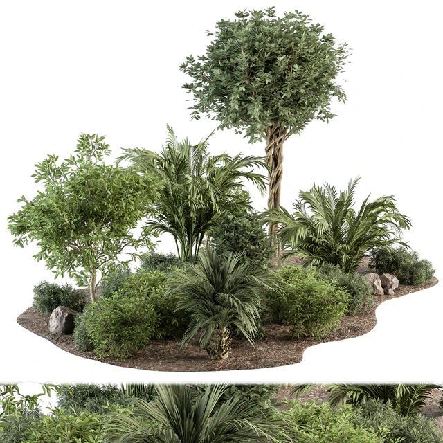 Garden Plants - Outdoor Plants 442 — Descargar