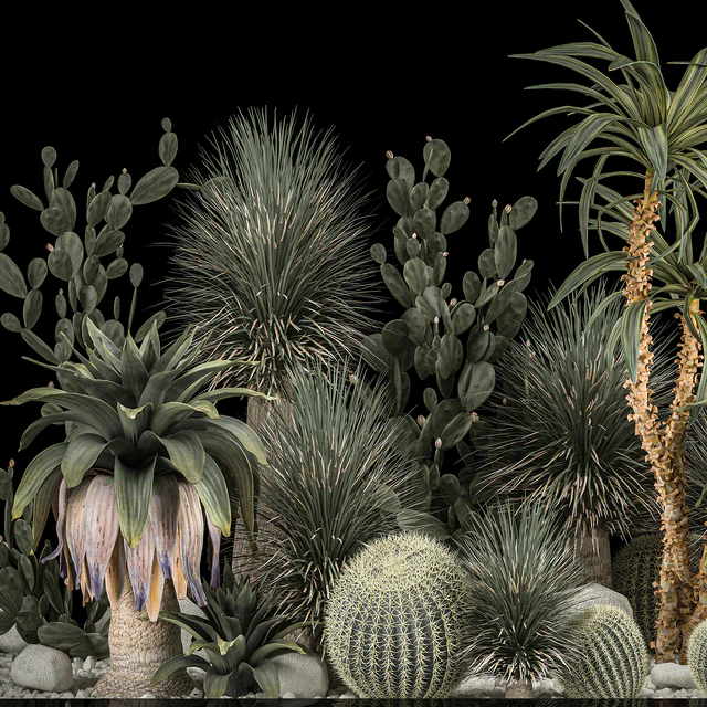 Collection of tropical plants of the desert 1117. cactus, yucca, prickly pear, thickets, bushes, garden, dracaena — Descargar