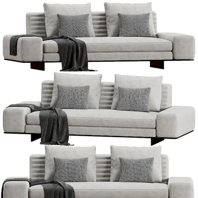 Minotti Roger — Вид 5