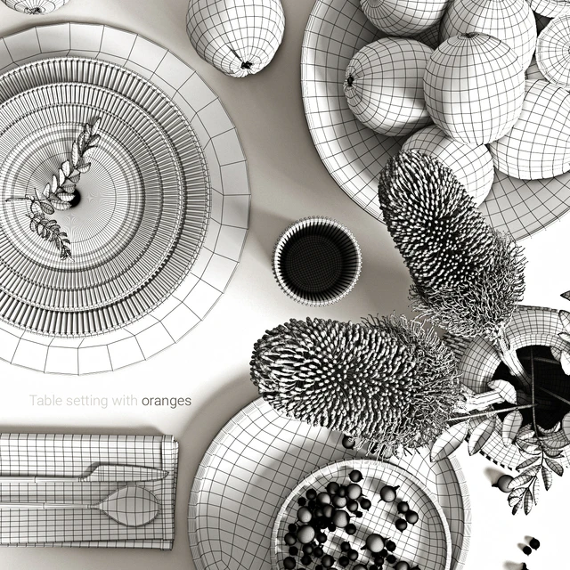 Table setting with oranges — Descargar