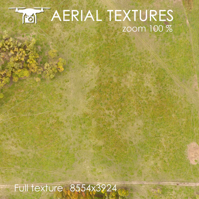 field 161 — Descargar