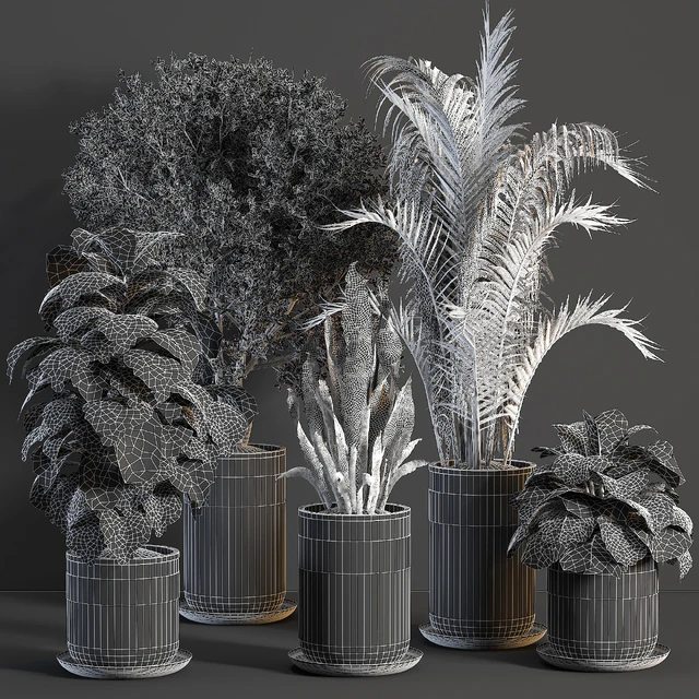 indoor plant 02 — Скачать