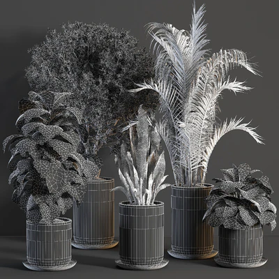 indoor plant 02 — Вид 4
