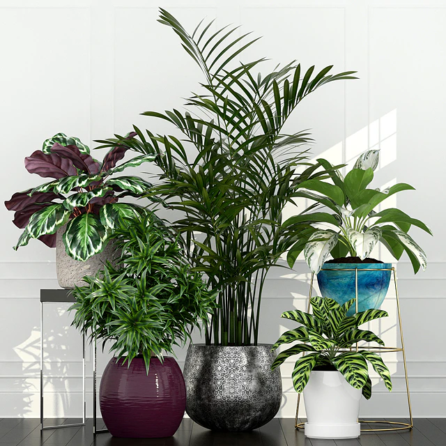 Plants collection 54 — Скачать