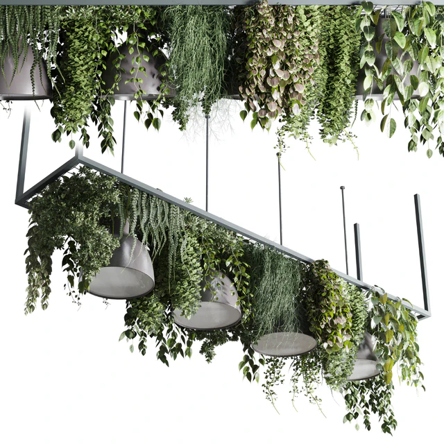 Coffee shop reception, Restaurant counter by hanging plant - 04 — Descargar