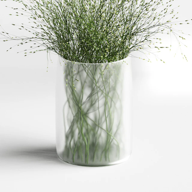 Grass in vases 2 — Descargar