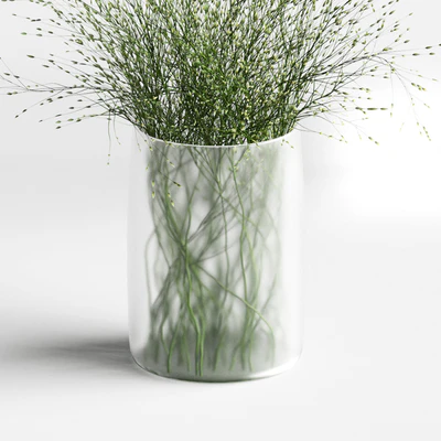 Grass in vases 2 — Ver 3
