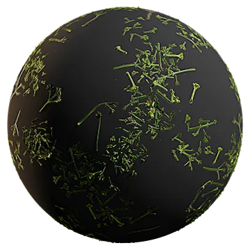 wild plant scatter 001 — Скачать