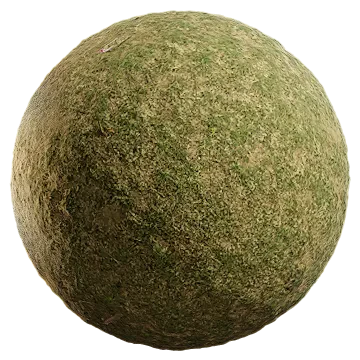 grass patchy 001 — Descargar