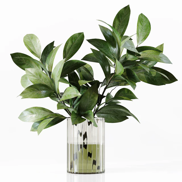 Collection Indoor Plants 034 — Descargar