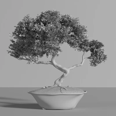 plant bonsai02 — Вид 3