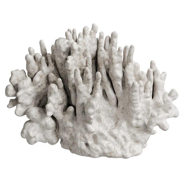 Regina Andrew White Resin Coral Decorative Sculpture — Descargar