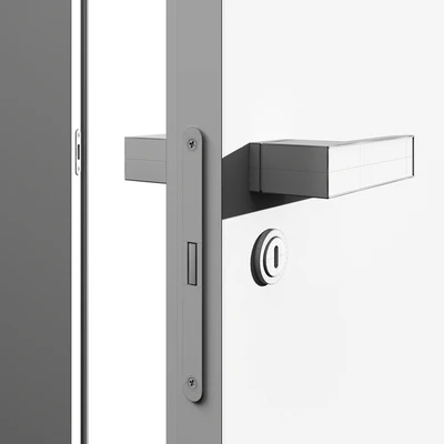Entrance door and concealed door — Ver 6