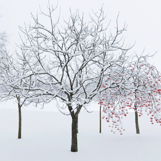 Winter trees # 1 — Descargar