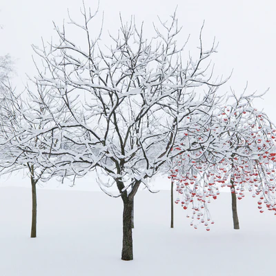 Winter trees # 1 — Ver 6