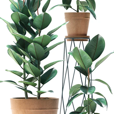 PLANTS 86 — Вид 2
