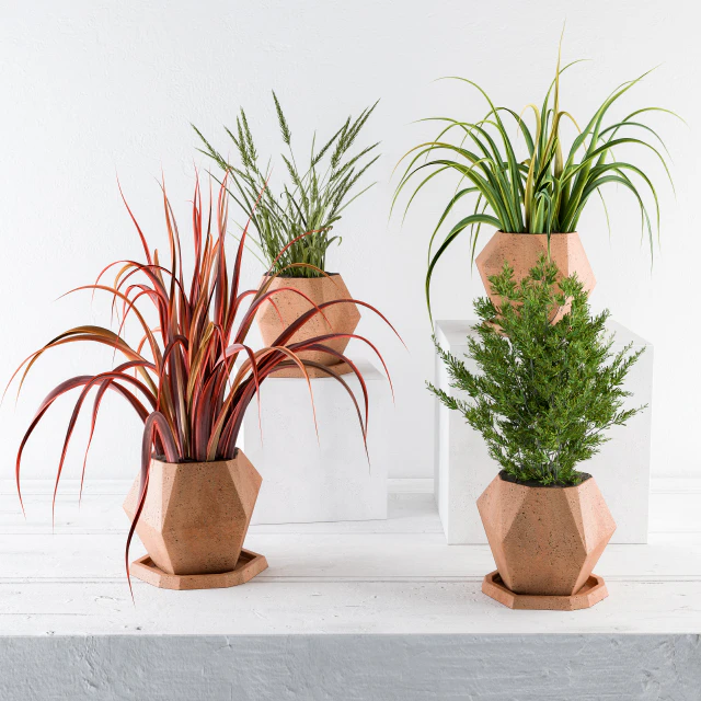Plants and Pot Decor — Скачать