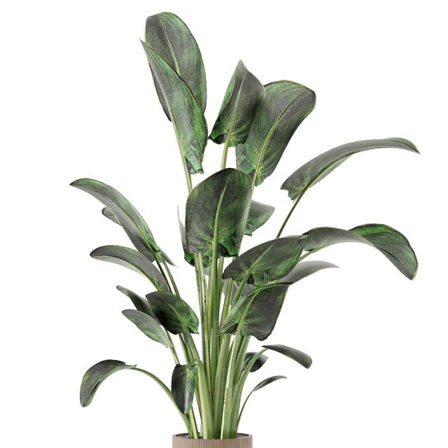 Indoor Plants  in rusty Concrete Pot - Set 582 — Скачать