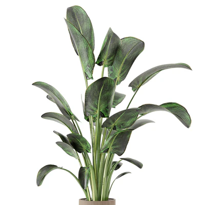 Indoor Plants  in rusty Concrete Pot - Set 582 — Вид 4