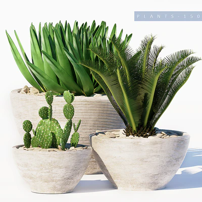 PLANTS 150 — Descargar