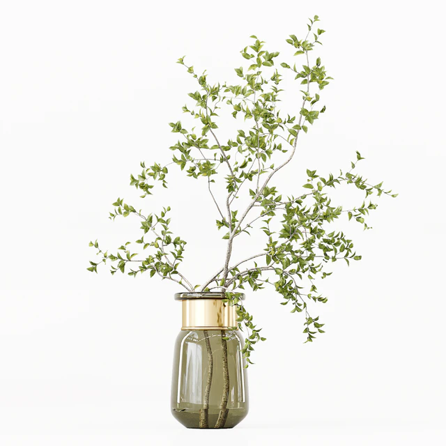 Collection Indoor Plants 016 — Descargar