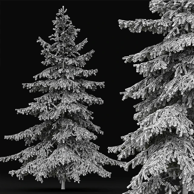 Spruce — Descargar
