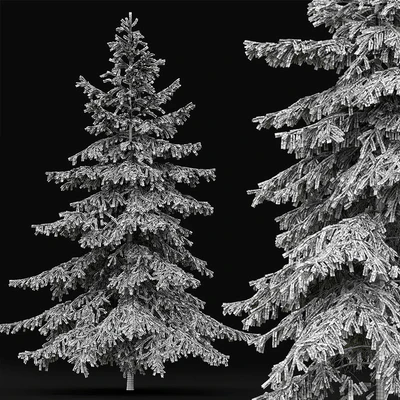 Spruce — Ver 3