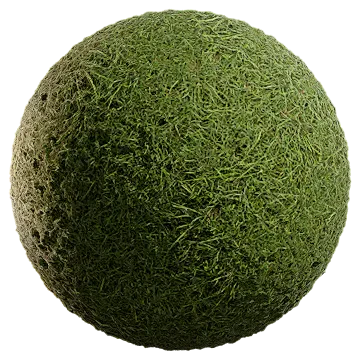 uncut grass 002 — Descargar