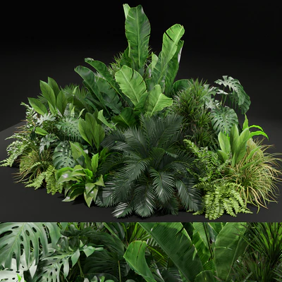 Plants collection 445 — Ver 1