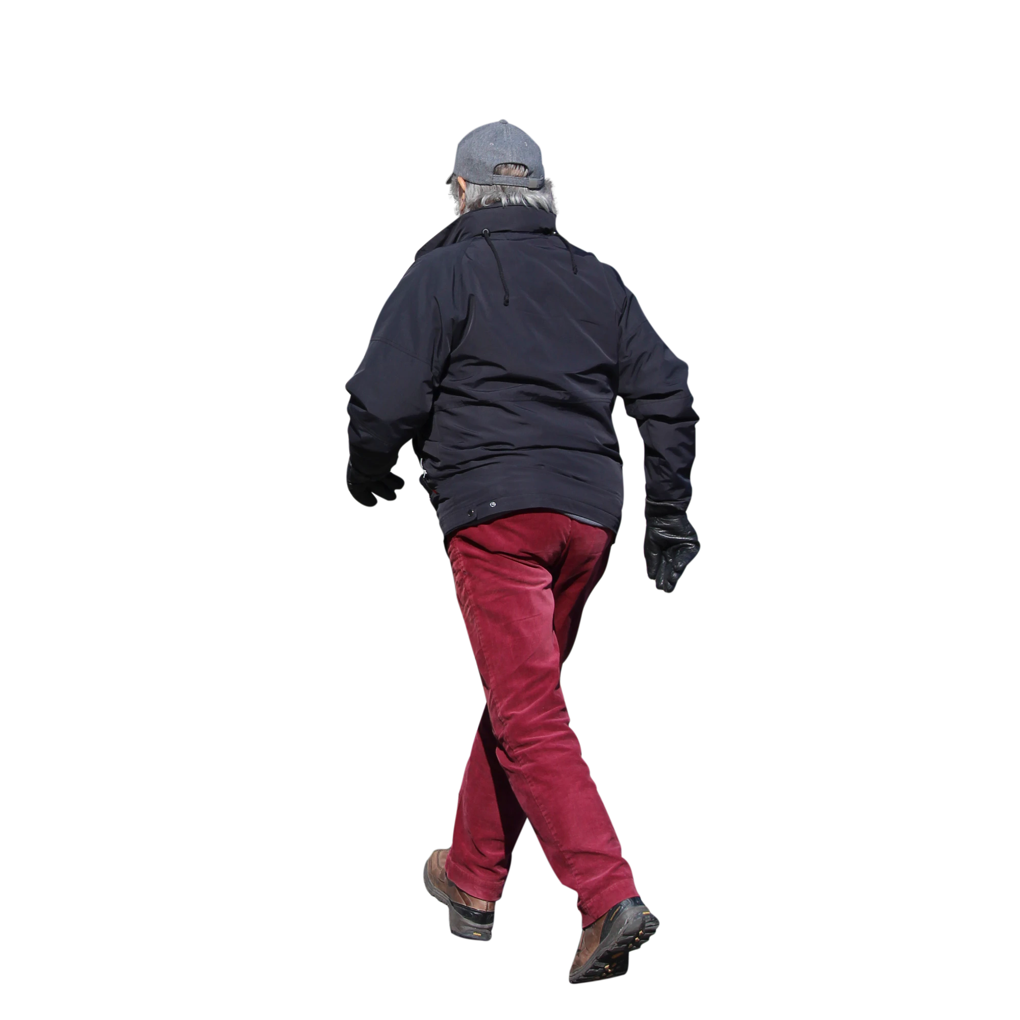 2981 — Скачать