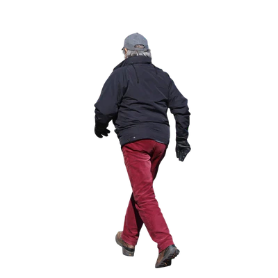 2981 — Скачать